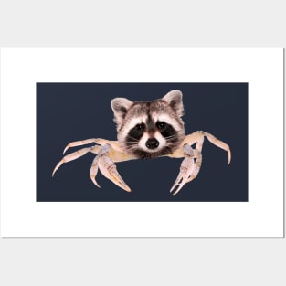 Crab Raccoon Posters and Art